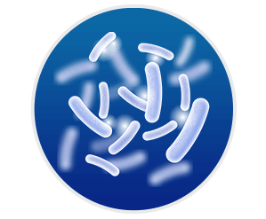 Synaptigen - Lactobacillus Reuteri
