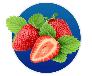 Synaptigen- Strawberry Extract